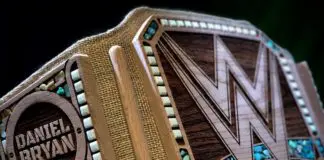 Der nachhaltige WWE-Titel / (c) 2019 WWE. All Rights Reserved.