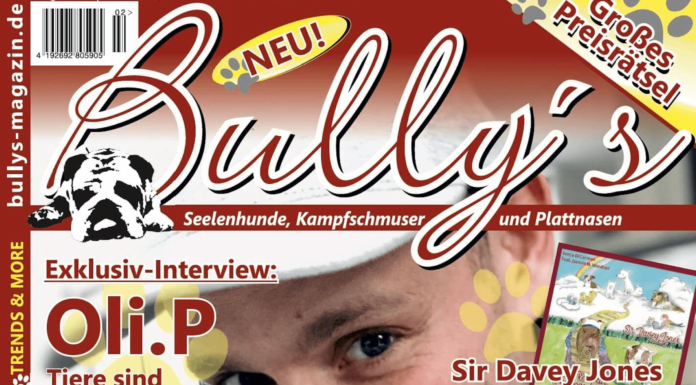 Bully's #2 - Preview