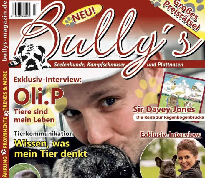 Bully's #2 - Preview
