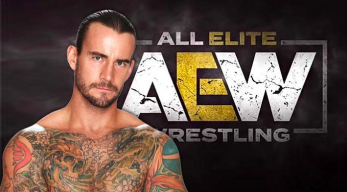 Der frühere WWE-Champion CM Punk ist auf dem Weg zu AEW