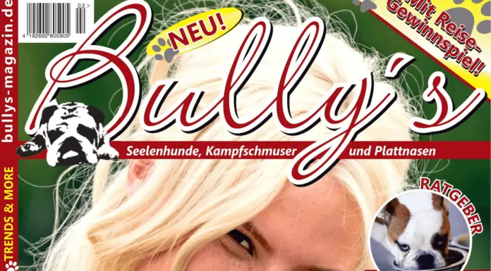 BULLY'S #3 - Preview