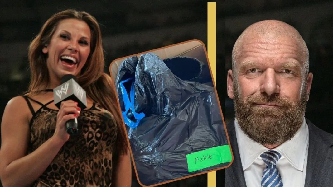 WWE-Müllsack-Skandal: Mickie James (Foto: Power-Wrestling), Triple H (Foto: WWE 2021. All Rights Reserved.), Müllsack (https://twitter.com/MickieJames)