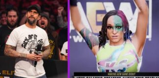 CM Punk mit neuer TV-Rolle, neue Videogame-Details - AEW-News