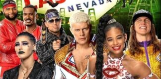 WWE "Money in the Bank" in Las Vegas wird verkleinert / Grafik: (c) WWE. All Rights Reserved.