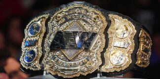 Die AEW World Heavyweight Championship