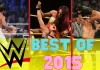 Die 20 besten WWE-PPV-Matches von 2015 in einer Liste! / Bilder: Bill Otten, Logo: (c) WWE
