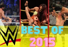 Die 20 besten WWE-PPV-Matches von 2015 in einer Liste! / Bilder: Bill Otten, Logo: (c) WWE