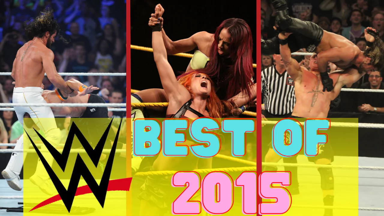 WWE Die besten Pay-Per-View-Matches des Jahres 2015