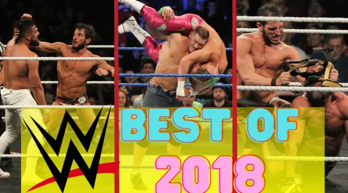 Die besten WWE-PPV-Matches von 2018 in einer Liste! / Bilder: Bill Otten, Logo: (c) WWE