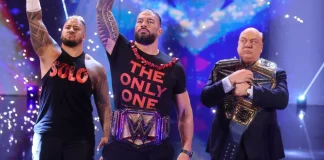 Im Sommer 2023 kriegen nur Fans in wenigen Städten den Undisputed-Champion Roman Reigns zu sehen. / Foto: (c) WWE