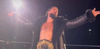 So ließ sich Seth Rollins von den WWE-Fans in München feiern / (c) 2023 WWE