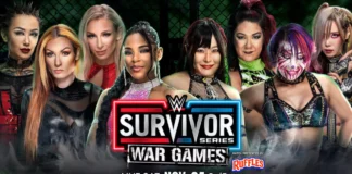 Könnend die Teams koexistieren? / WWE Survivor Series 2023
