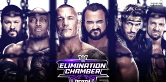 Wer löst im WWE Elimination Chamber 2024 das Ticket für WrestleMania?